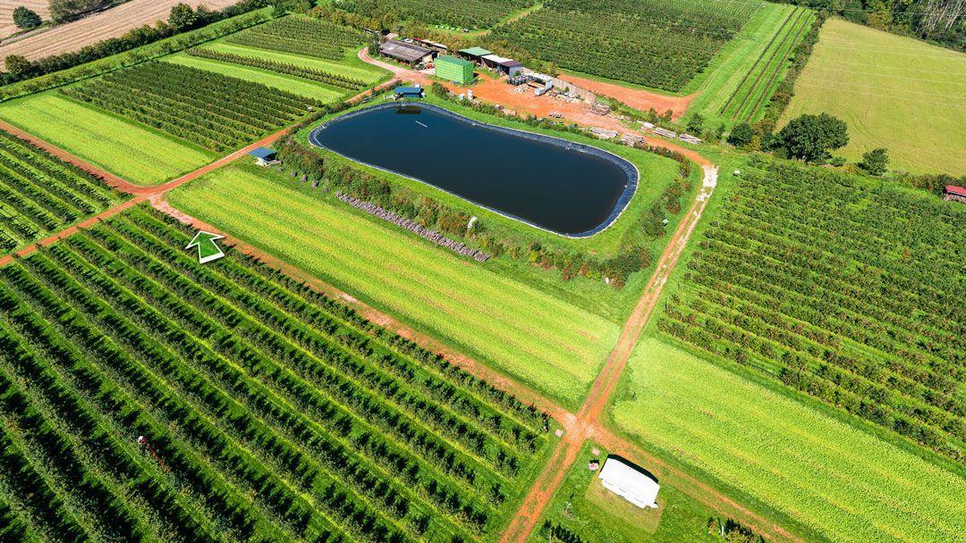 Obstplantage Latz