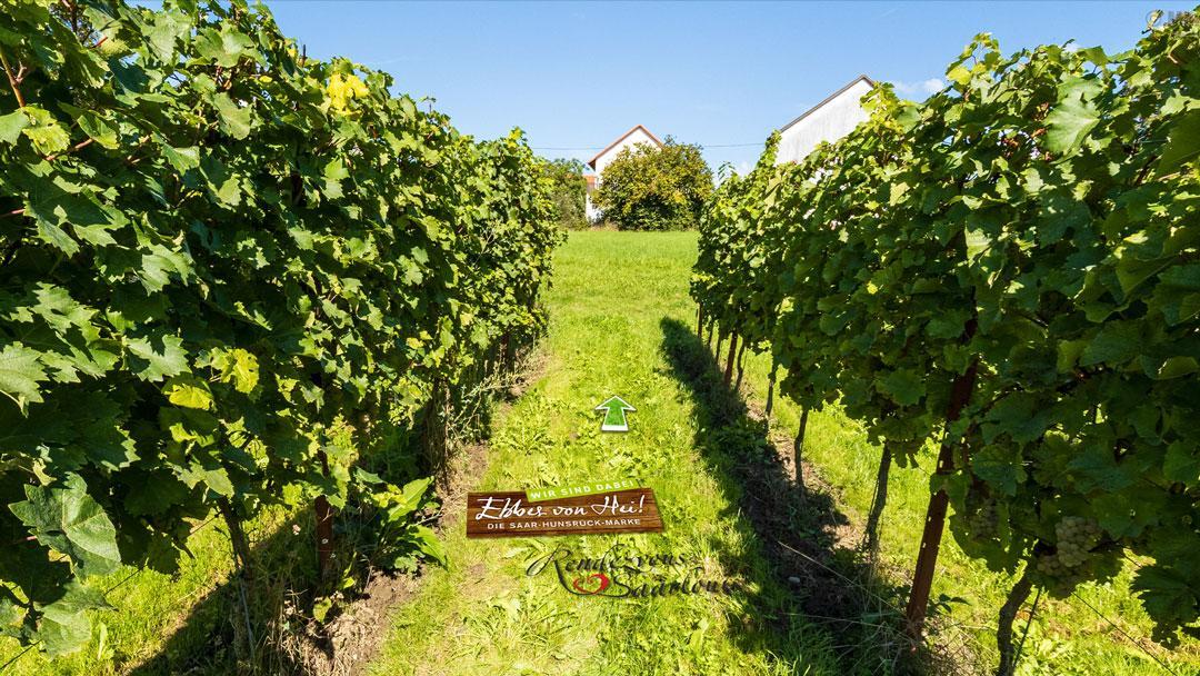 Weinatelier Pierre Marie
